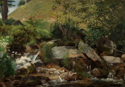 Meadow Stream with Bushes and Grasses by Hans Thoma