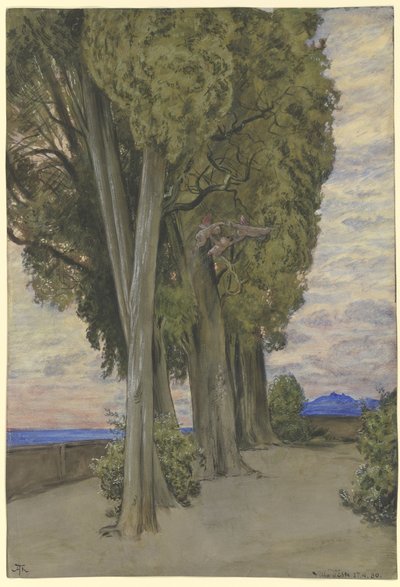 Cypresses in the Villa d