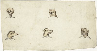 Heads of Four Animals and a Skeleton by Harmen ter Borch