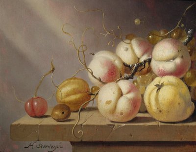Still life of fruit on a ledge by Harmen van Steenwyck