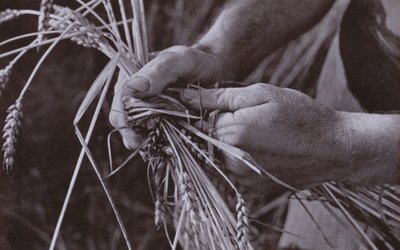 Making Straw Bands by Harold Burdekin