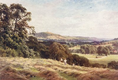 A Hayfield, Wonersh by Harold Sutton Palmer