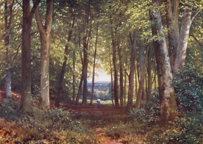 Deer-Leap Wood, Wotton by Harold Sutton Palmer