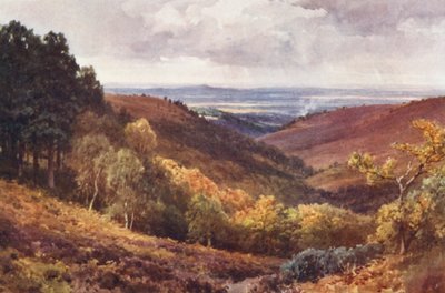 Hindhead, The Punchbowl, Looking North by Harold Sutton Palmer