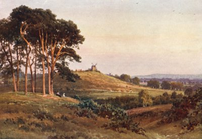 Reigate Heath, Evening by Harold Sutton Palmer