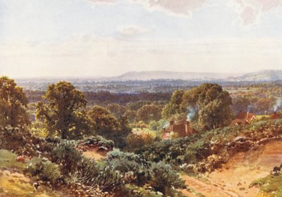 Sandhills, looking towards Blackdown by Harold Sutton Palmer