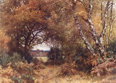 The Edge of a Wood, Royal Common (colour litho) by Harold Sutton Palmer