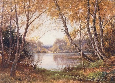 The Verge of the Pond, Royal Common by Harold Sutton Palmer