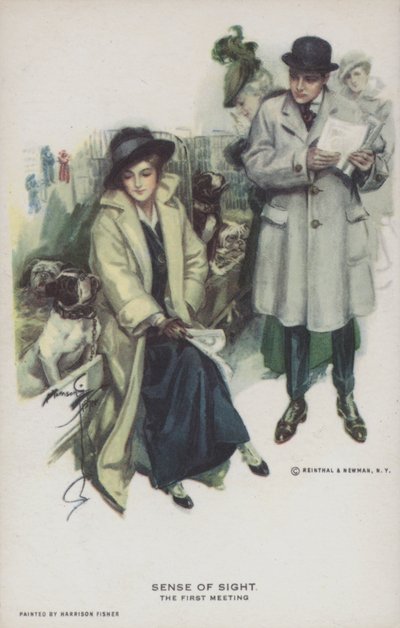 Sense of Sight - The First Meeting by Harrison Fisher