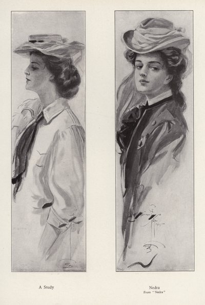 The Character Nedra from the Novel Nedra, by George Barr McCutcheon by Harrison Fisher