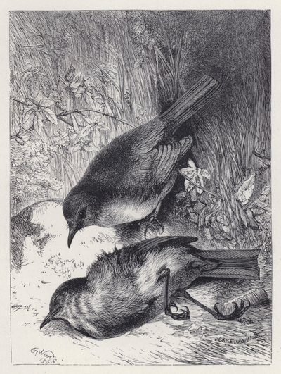 Death of Robin