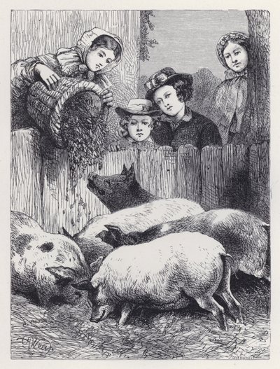 Feeding the Pigs by Harrison William Weir