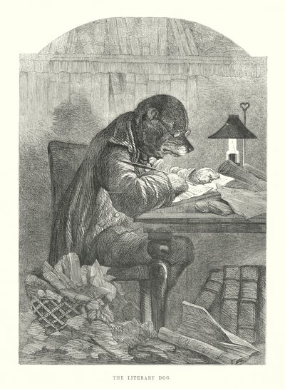 Funny Dogs: The Literary Dog by Harrison William Weir