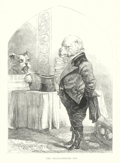 Funny Dogs: The Old-fashioned Dog by Harrison William Weir