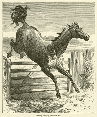 Hunting Mare by Harrison William Weir