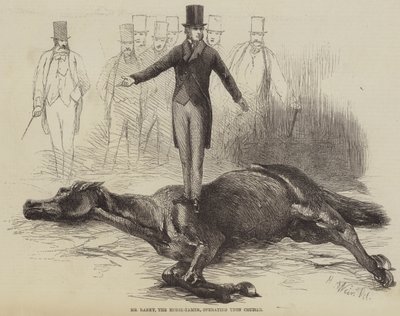 Mr. Rarey, the Horse-Tamer, Operating upon Cruiser by Harrison William Weir