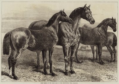 Prize Horses at the Horse Show in the Agricultural Hall, Islington by Harrison William Weir