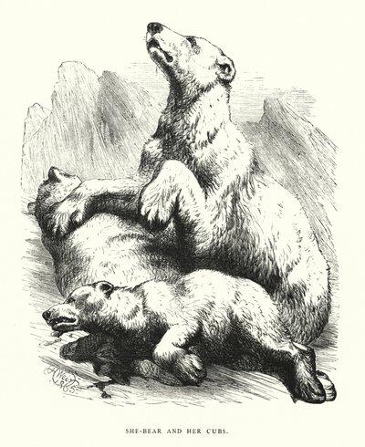 She-Bear and Her Cubs by Harrison William Weir