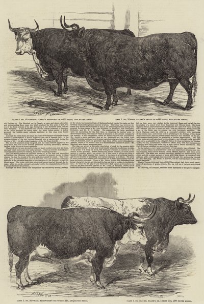 The Annual Exhibition of the Smithfield Club by Harrison William Weir