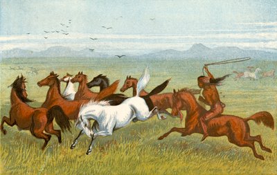 The Horse by Harrison William Weir