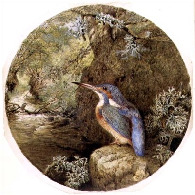The Kingfisher