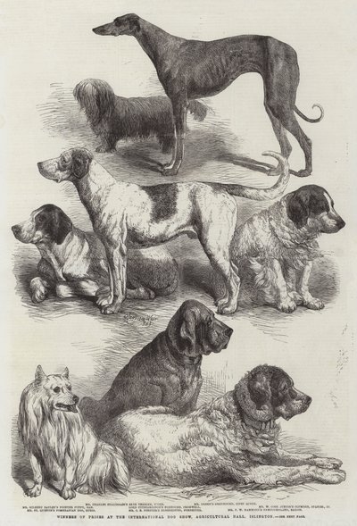 Winners of Prizes at the International Dog Show, Agricultural Hall, Islington by Harrison William Weir
