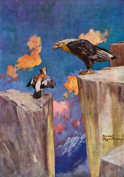 The Jay and the Nightingale by Harry Rountree