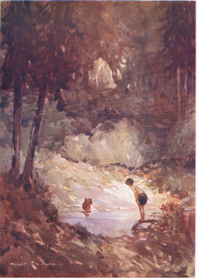 "You may as well jump in now," said the squirrel to Gilbert (from The Forest Foundling) by Harry Rountree