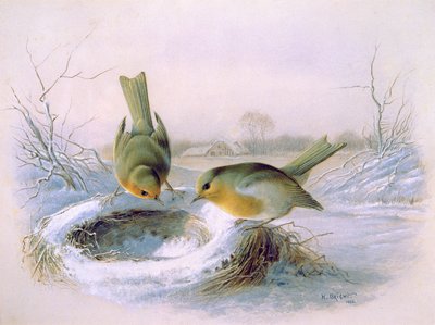 Last Years Nest by Harry Bright