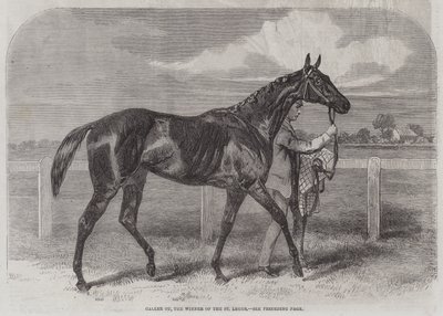 Caller Ou, the Winner of the St Leger by Harry Hall