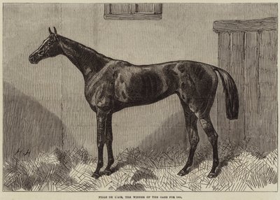 Fille de l