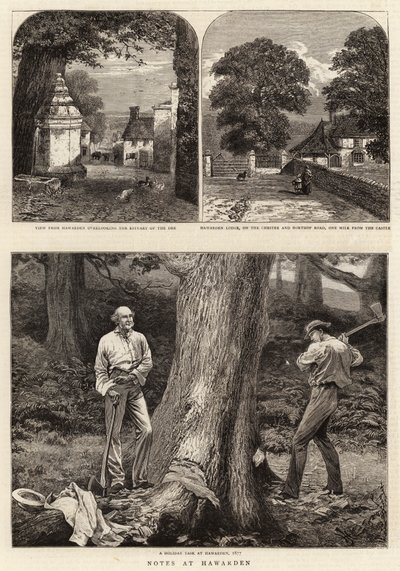 Notes at Hawarden by Harry Hamilton Johnston