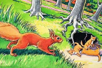 Little Red Squirrel by Harry M. Pettit