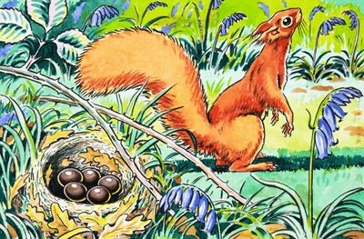Little Red Squirrel by Harry M. Pettit