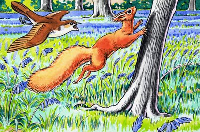 Little Red Squirrel by Harry M. Pettit