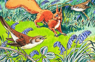 Little Red Squirrel by Harry M. Pettit