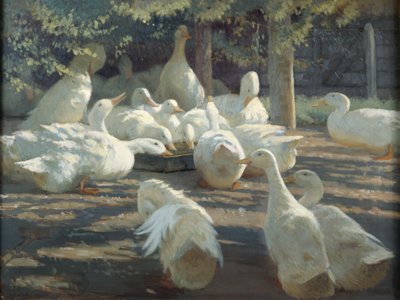 Sunlight and Shadow by Harry Percy Clifford
