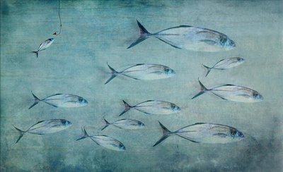 Small Fish Big Hook by Harry Wentworth