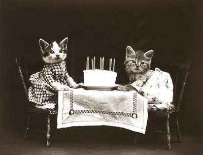 Kitties Series: Birthday Party, c.1914 by Harry Whittier Frees