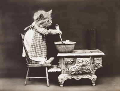 Kitties Series: Cook at the Stove, c.1914 by Harry Whittier Frees