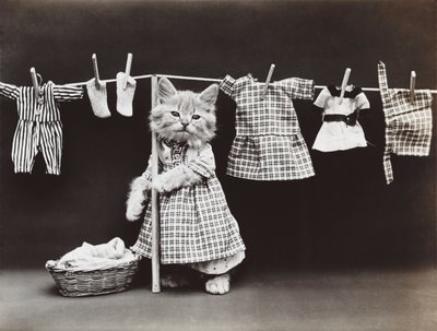 Kitties Series: Drying Laundry, c.1914 by Harry Whittier Frees