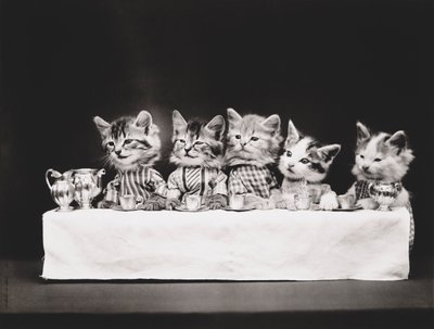 Kitties Series: Last Supper, c.1914 by Harry Whittier Frees