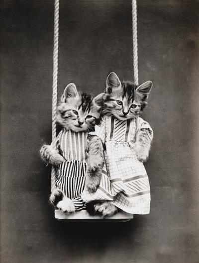 Kitties Series: On a Swing, c.1914 by Harry Whittier Frees