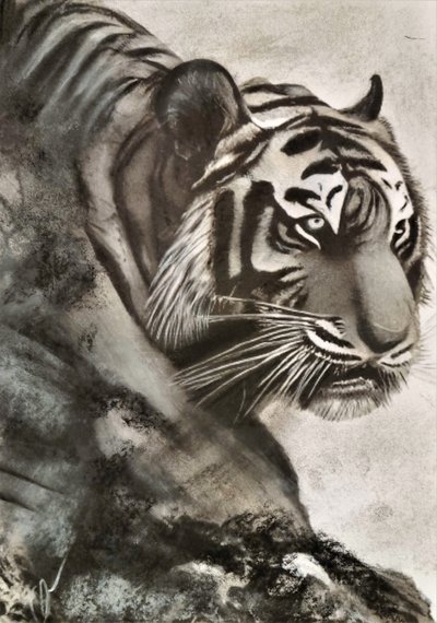 Tiger on the Hunt by HaskellArt