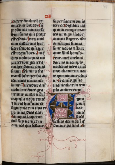 Gospel Book with Evangelist Portraits: Decorated Initial, c. 1480 by Hausbuch Master