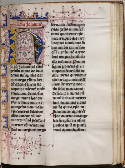 Gospel Book with Evangelist Portraits: Decorated Initial, c. 1480 by Hausbuch Master