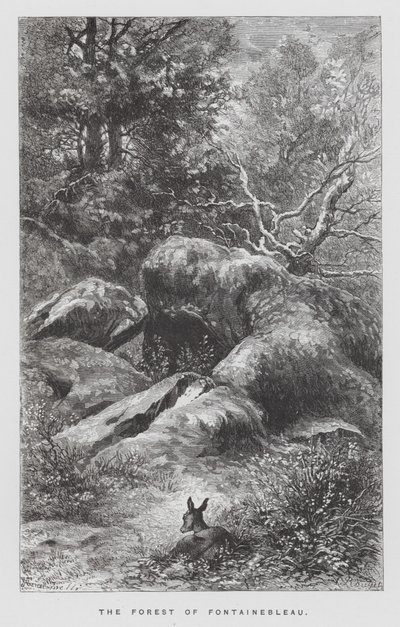 The Insect: The Forest of Fontainebleau by Hector Giacomelli