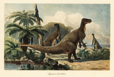 Iguanodon Bernissartensis in a Prehistoric Fern Forest by Heinrich Harder