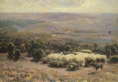 A Herd of Sheep in the Luneburger Heide by Heinrich Johann von Zugel