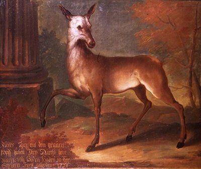 A Roe Deer by Heinrich Lihl
